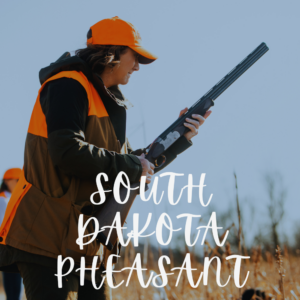 South Dakota Phesant Hunt