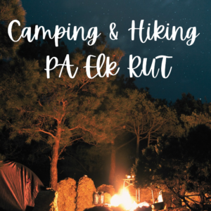 camping and hiking in PA during the elk rut